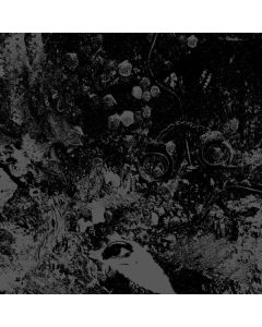 Primitive Man & Unearthly Trance