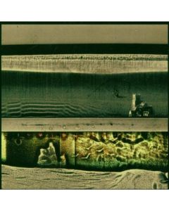 The Flatlands