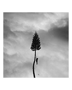A Black Mile To The Surface