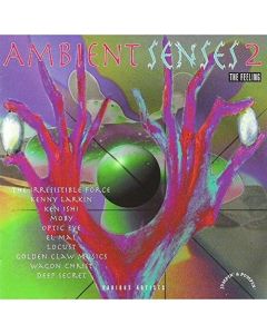 Ambient Senses 2