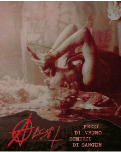 ABORT: pezzi di vetro schizzi di sangue (book) Ltd. hard bound version, 288 pages