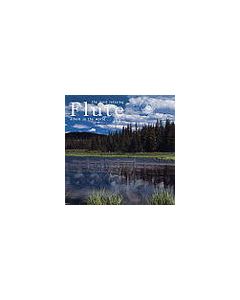 The Most Relaxing Flute Album In The World