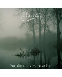 For the Souls We Have Lost