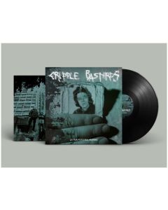 La tua foto sul marmo - LP with 22"x11" foldout insert (black)