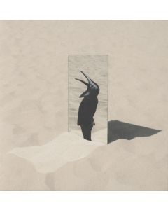 The Imperfect Sea