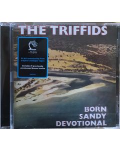 Born Sandy Devotional