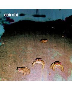 Cairobi