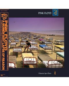 A Momentary Lapse Of Reason