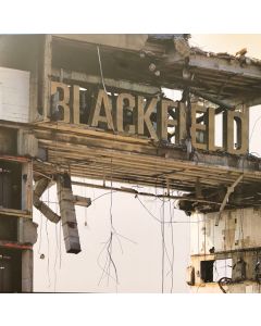 Blackfield II