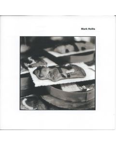 Mark Hollis