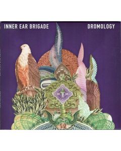 Dromology