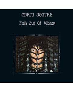 Fish Out Of Water