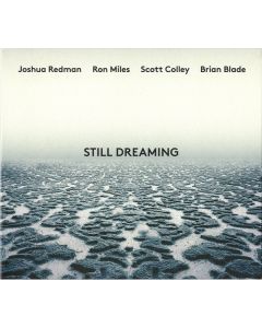 Still Dreaming