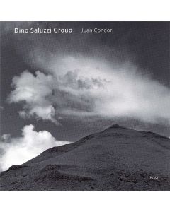 Juan Condori