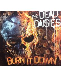 Burn It Down