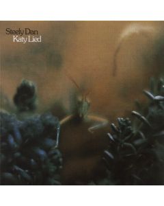 Katy Lied