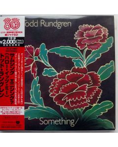 Something/Anything