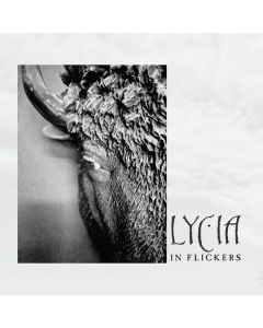 In Flickers