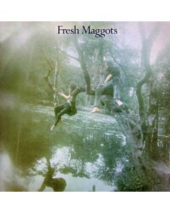 Fresh Maggots... Hatched