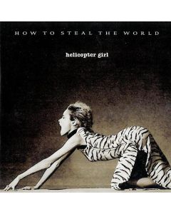 How To Steal The World