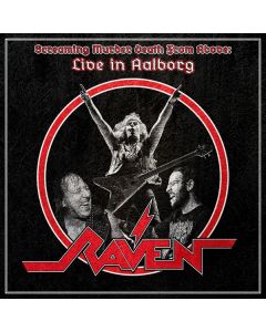 Screaming Murder Death From Above: Live In Aalborg