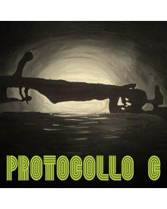 Protocollo C