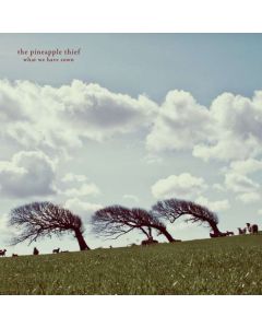 What We Have Sown