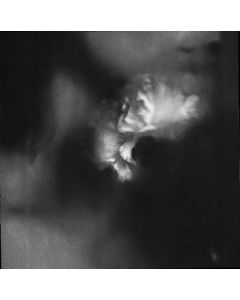 Holding Absence