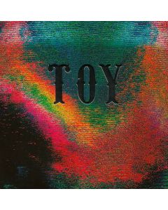 Toy