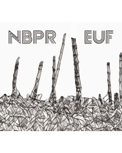 NBPR – Non Basta Più Rumore