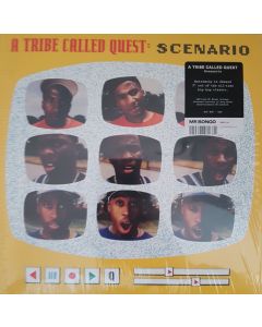 Scenario
