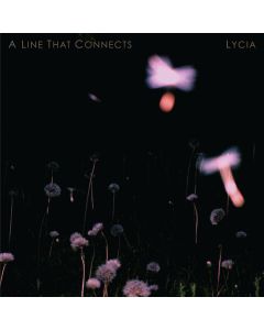 A Line That Connects