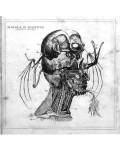 Anorexia Obscura