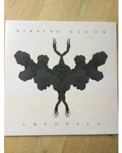 Amygdala