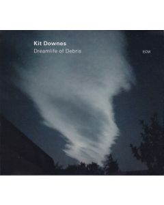 Dreamlife Of Debris