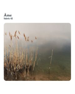 Fabric 42