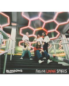 Foolish Loving Spaces