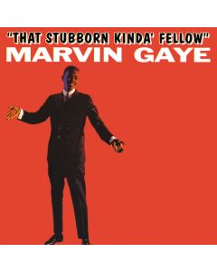 That Stubborn Kinda Fellow