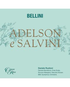 Adelson E Salvini