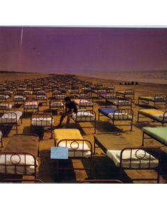 A Momentary Lapse Of Reason