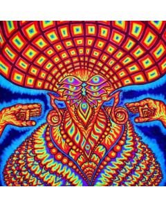 The Universe Inside