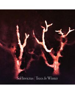 Trees In Winter