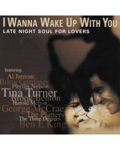 I Wanna Wake Up With You