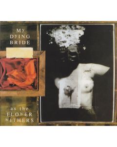 As The Flower Withers