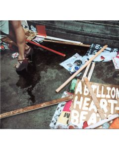 A Billion Heartbeats