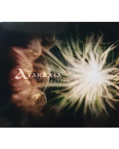 ΘUASAR