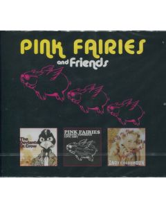 Pink Fairies And Friends