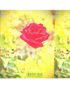 Trip