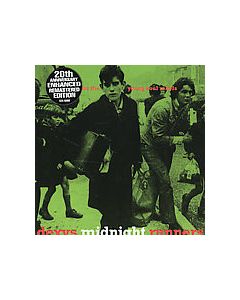 Searching For The Young Soul Rebels