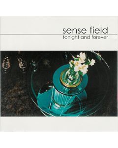 Tonight And Forever